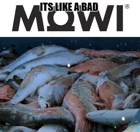 Death blog #15 Death blog #15