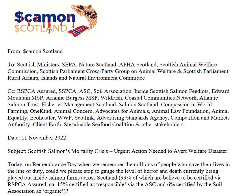 Letter on Remembrance Day to Scottish Ministers #1