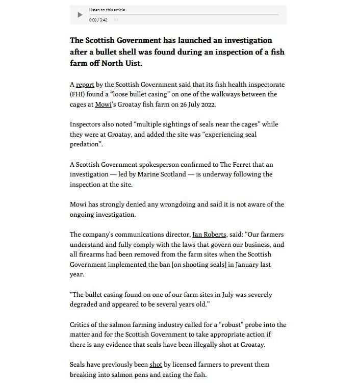 Ferret 1 December 2022 #2