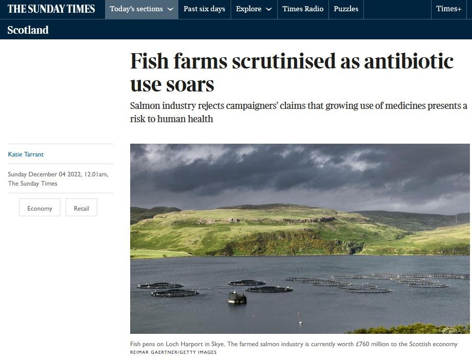 Sunday Times 4 December 2022 #1