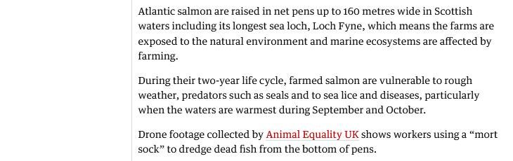 Observer online version 15 January 2023 #4