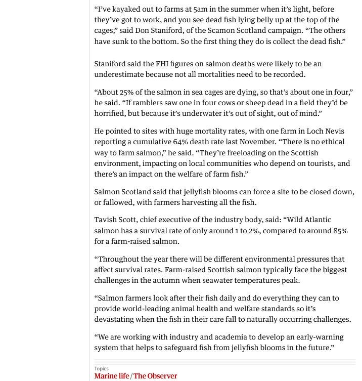 Observer online version 15 January 2023 #5