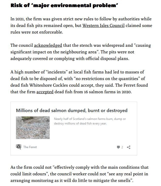 Ferret 16 Jan 2023 #4