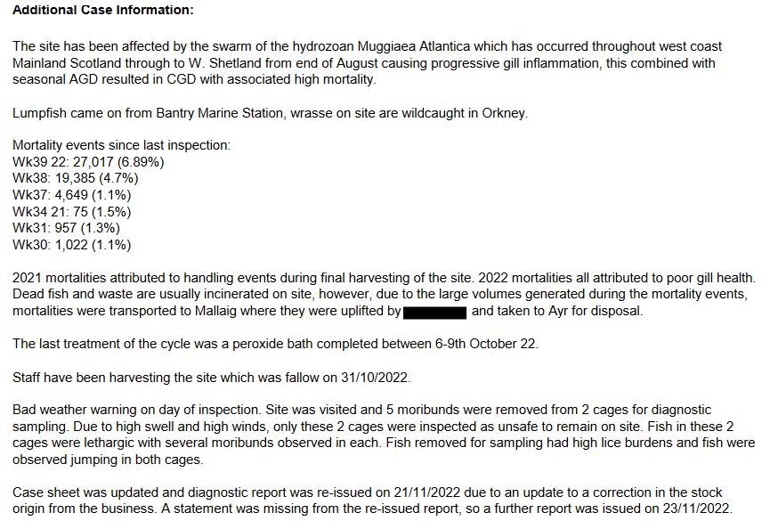 FHI Nevis Nov 2022 #6 FHI Nevis Nov 2022 #6
