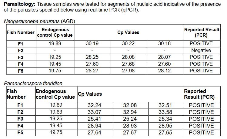 FHI Nevis Nov 2022 #14 inspection report FHI Nevis Nov 2022 #14 inspection report