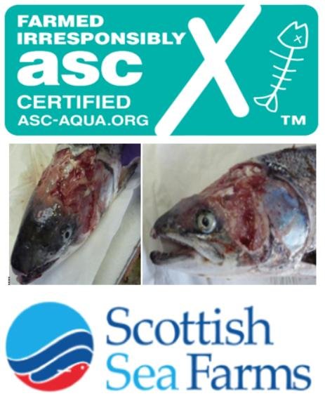 ASC Scottish Sea Farms ASC Scottish Sea Farms