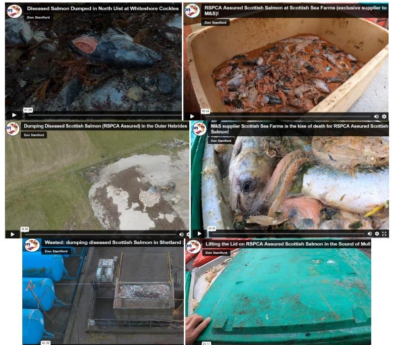 PR FishyLeaks Leaked #2