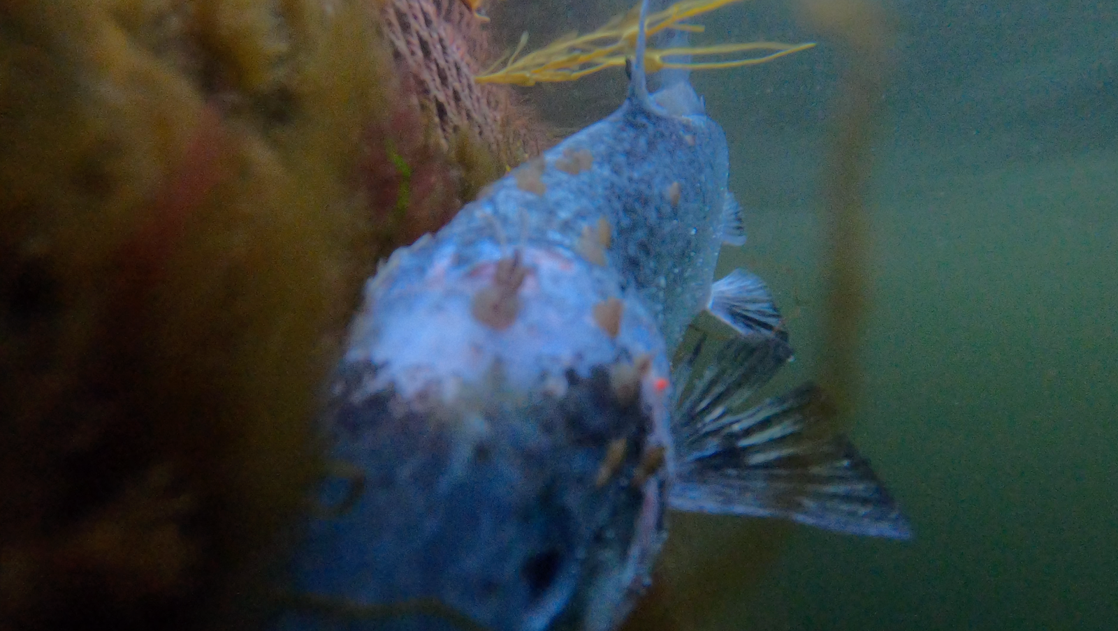 Quarry Point (UW) 30 Sep 6 Quarry Point (UW) 30 Sep 6