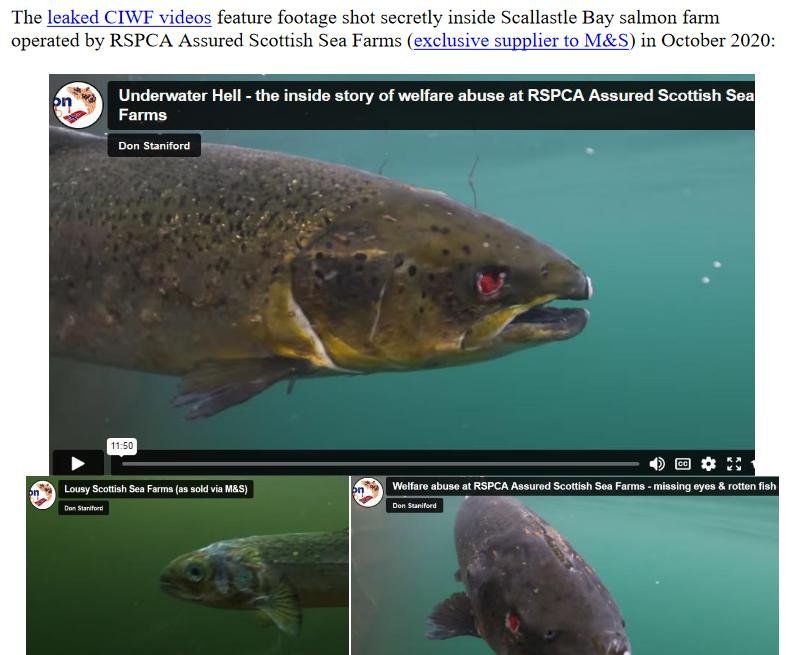 PR FishyLeaks Leaked #3