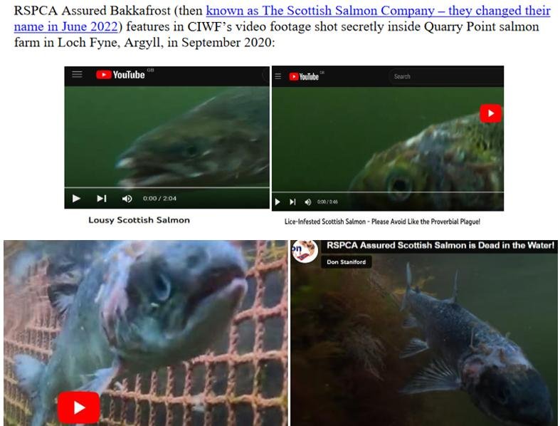 PR FishyLeaks Leaked #4