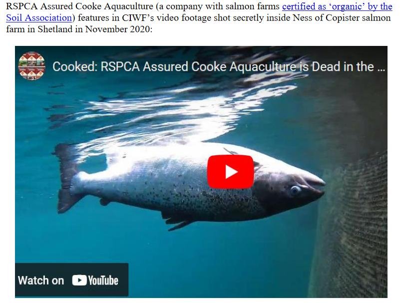 PR FishyLeaks Leaked #7