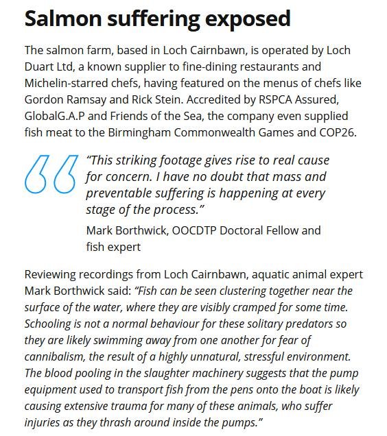 Animal Equality 26 Feb 2023 #17 Animal Equality 26 Feb 2023 #17