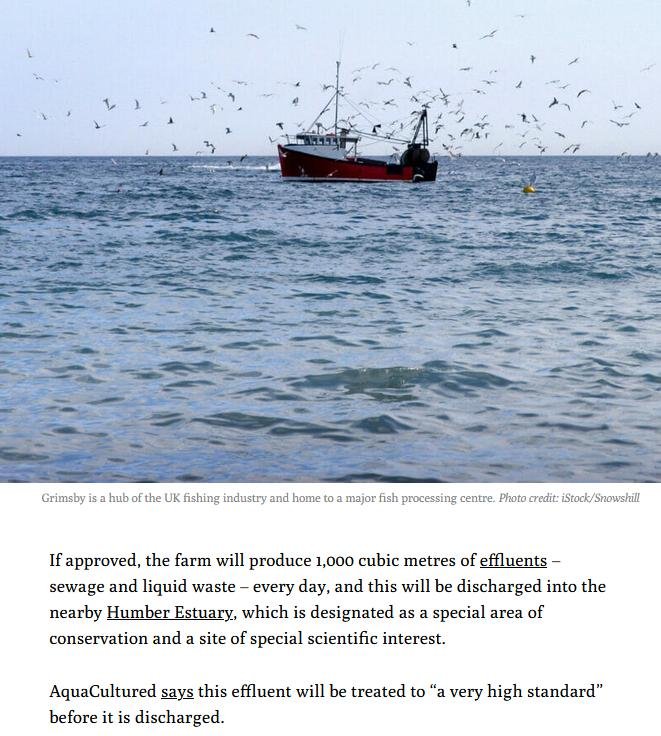 Ferret 10 March 2023 #6 Ferret 10 March 2023 #6