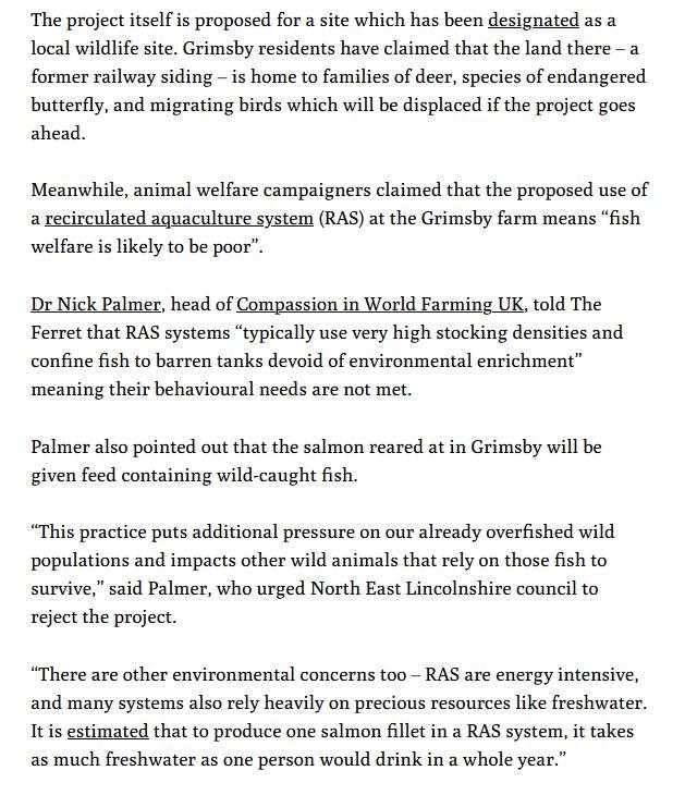 Ferret 10 March 2023 #7 Ferret 10 March 2023 #7