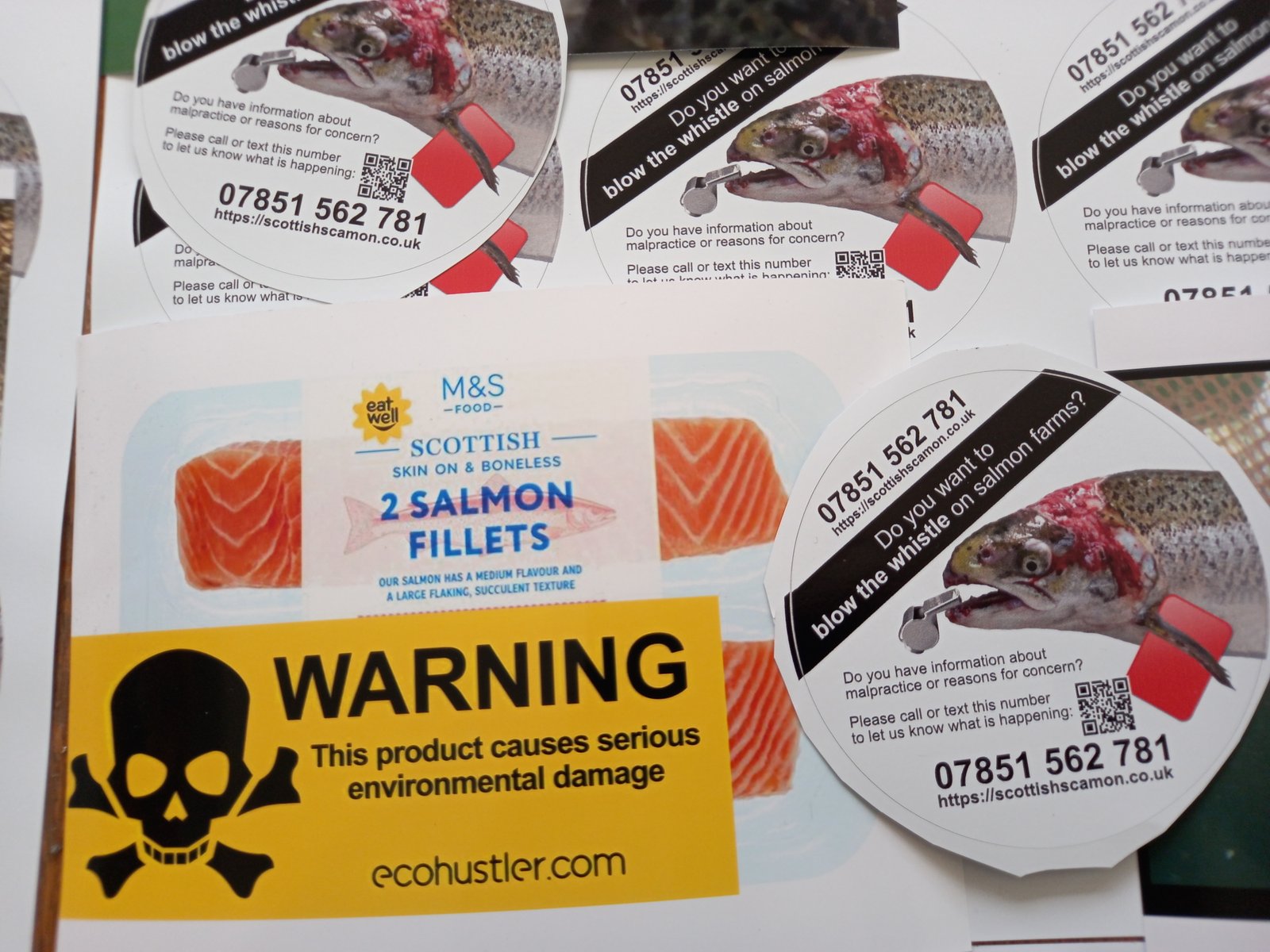 Collage #11 M&S Collage #11 M&S