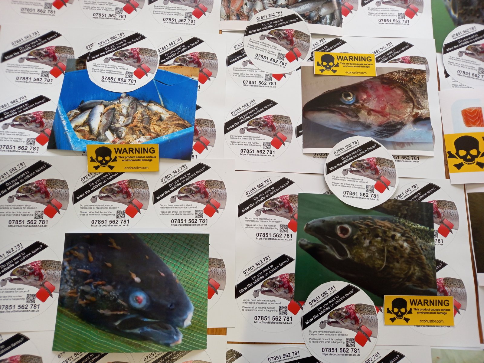 Collage #15 Collage #15