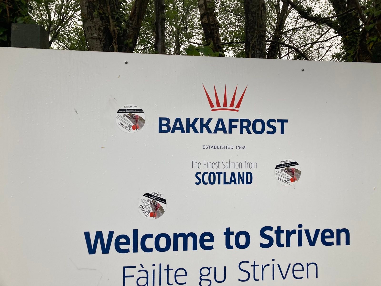 Stickers #8 Bakkafrost Striven Stickers #8 Bakkafrost Striven