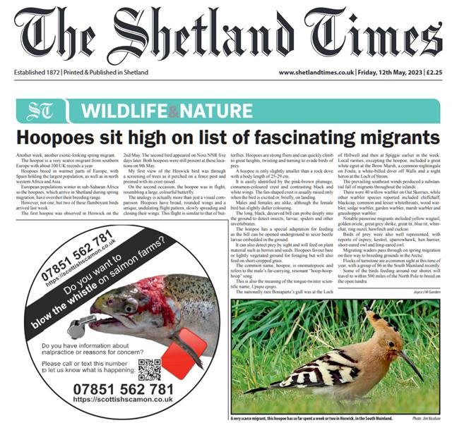 Shetland Times ad 12 May 2023 #1 Shetland Times ad 12 May 2023 #1