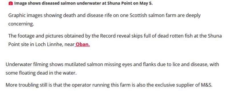 Daily Record Editorial 30 May 2023 #2