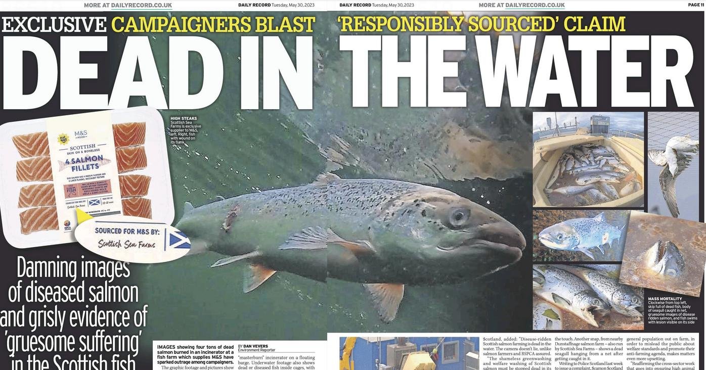 Daily Record 30 May 2023 newspaper #1 Daily Record 30 May 2023 newspaper #1