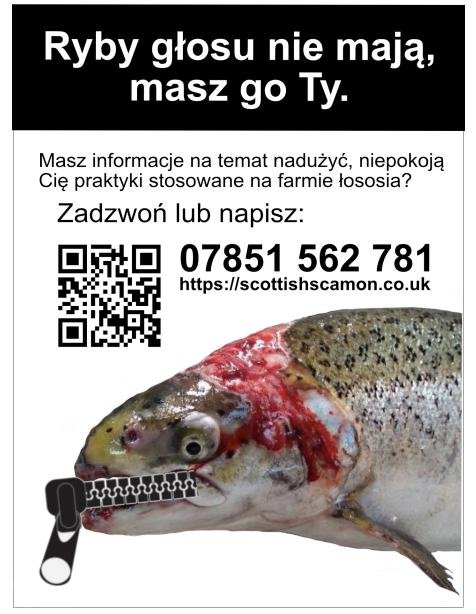 Polish version square small res Polish version square small res