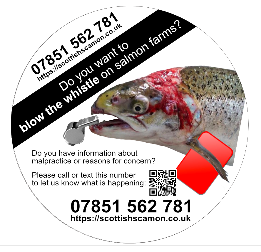 Whistleblower Hotline version #2 circle