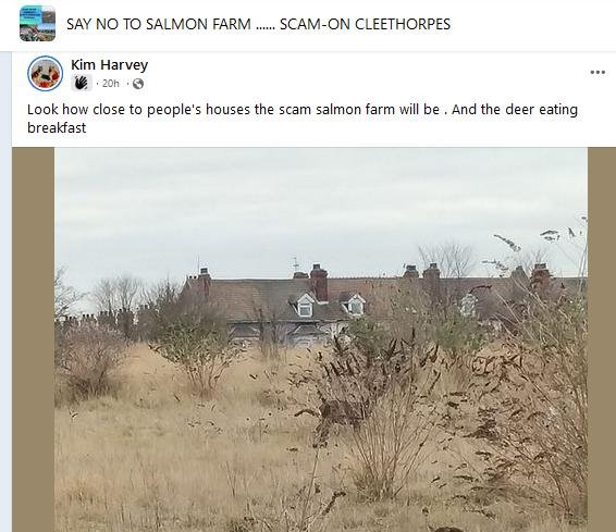 Grim blog March 2023 #14 objection Kim Harvey Grim blog March 2023 #14 objection Kim Harvey