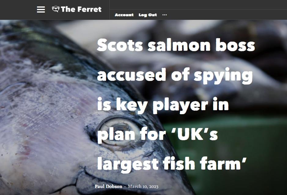 Ferret 10 March 2023 #1 Ferret 10 March 2023 #1