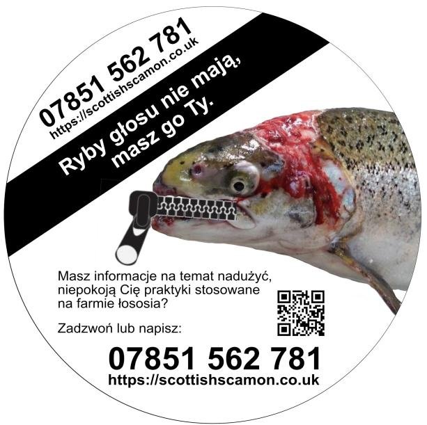 Polish version round small res Polish version round small res