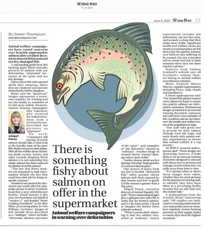 Sunday Post 11 June 2023 newspaper version in full Sunday Post 11 June 2023 newspaper version in full