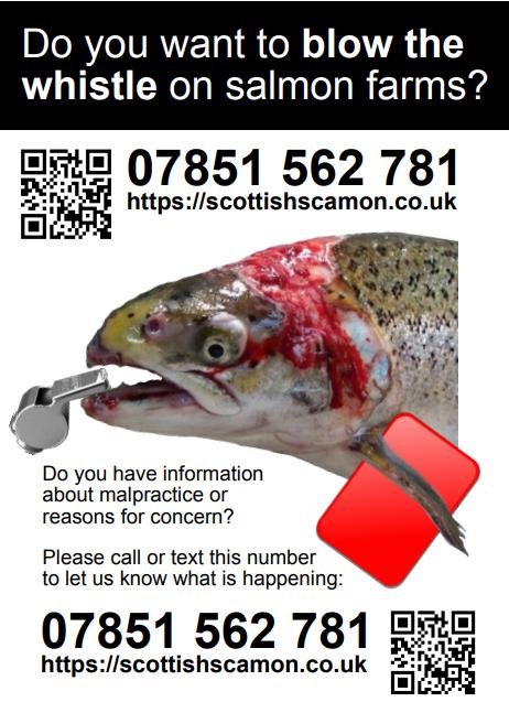 Whistleblower Hotline version #1 rectangle advert Whistleblower Hotline version #1 rectangle advert