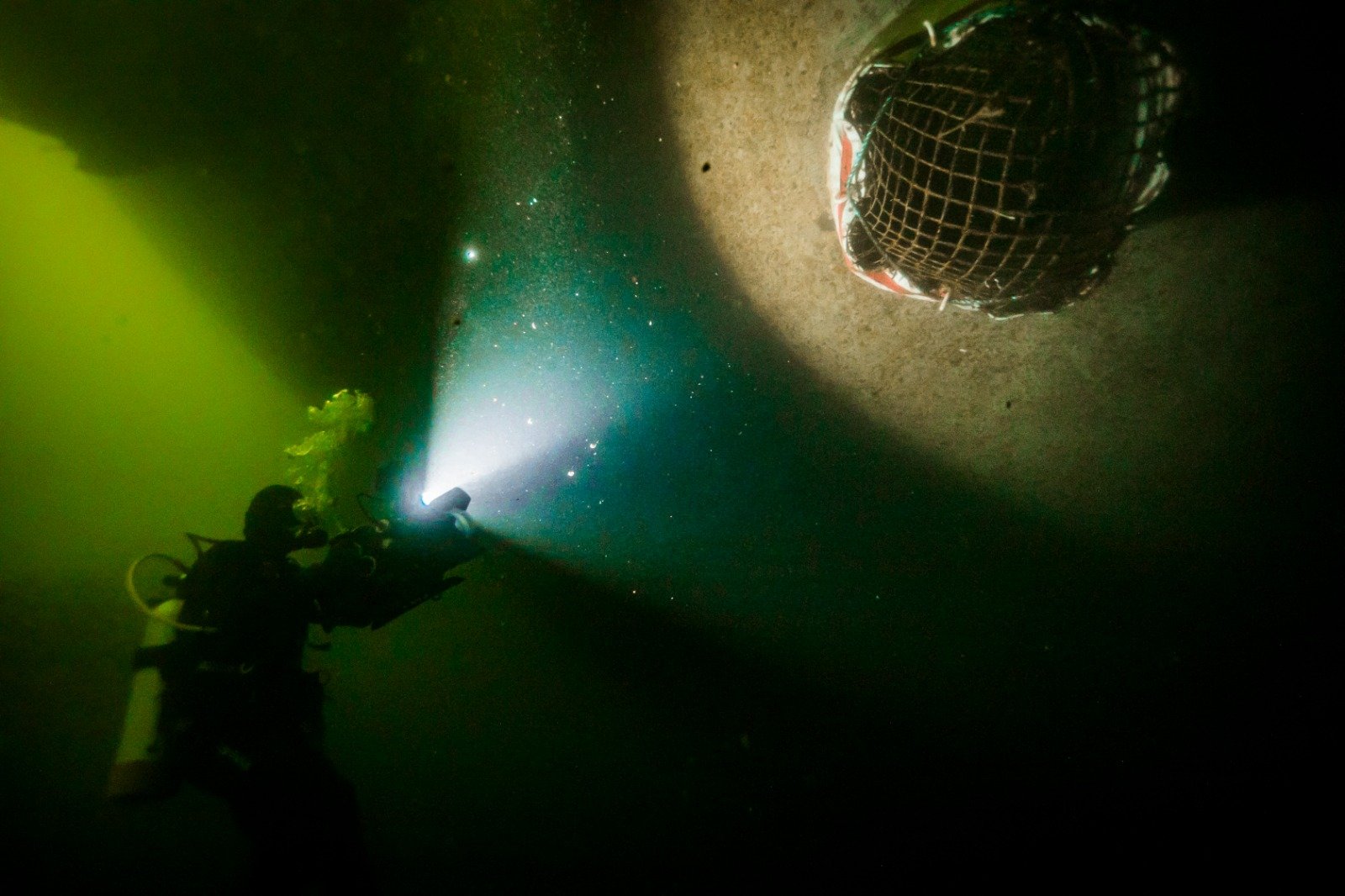 Clayoquot Action semi enclosed photo Clayoquot Action semi enclosed photo