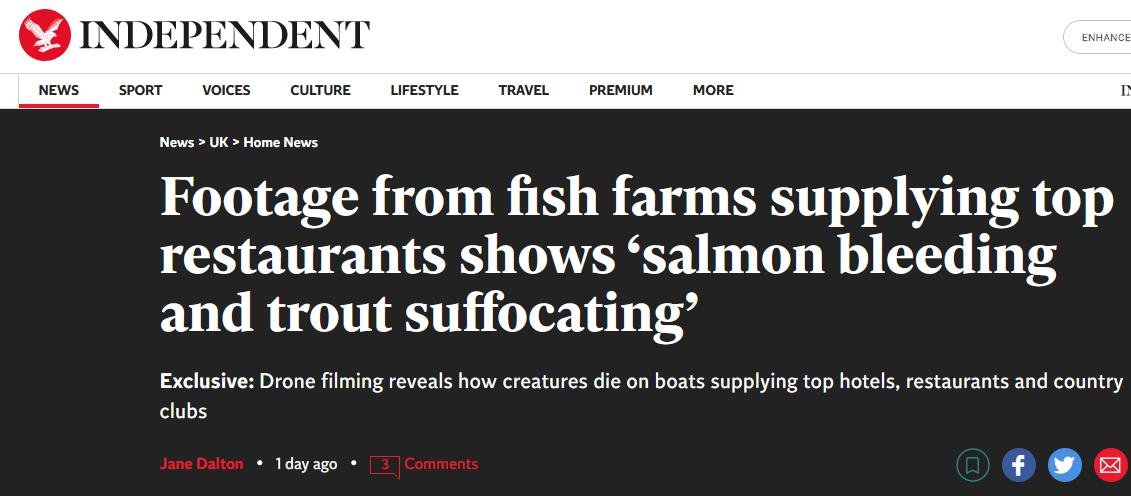 Animal Equality 26 Feb 2023 #1 Independent headline Animal Equality 26 Feb 2023 #1 Independent headline