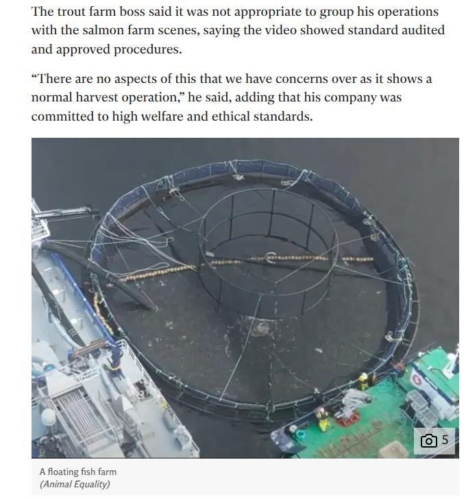 Animal Equality 26 Feb 2023 #13 Independent comments Animal Equality 26 Feb 2023 #13 Independent comments