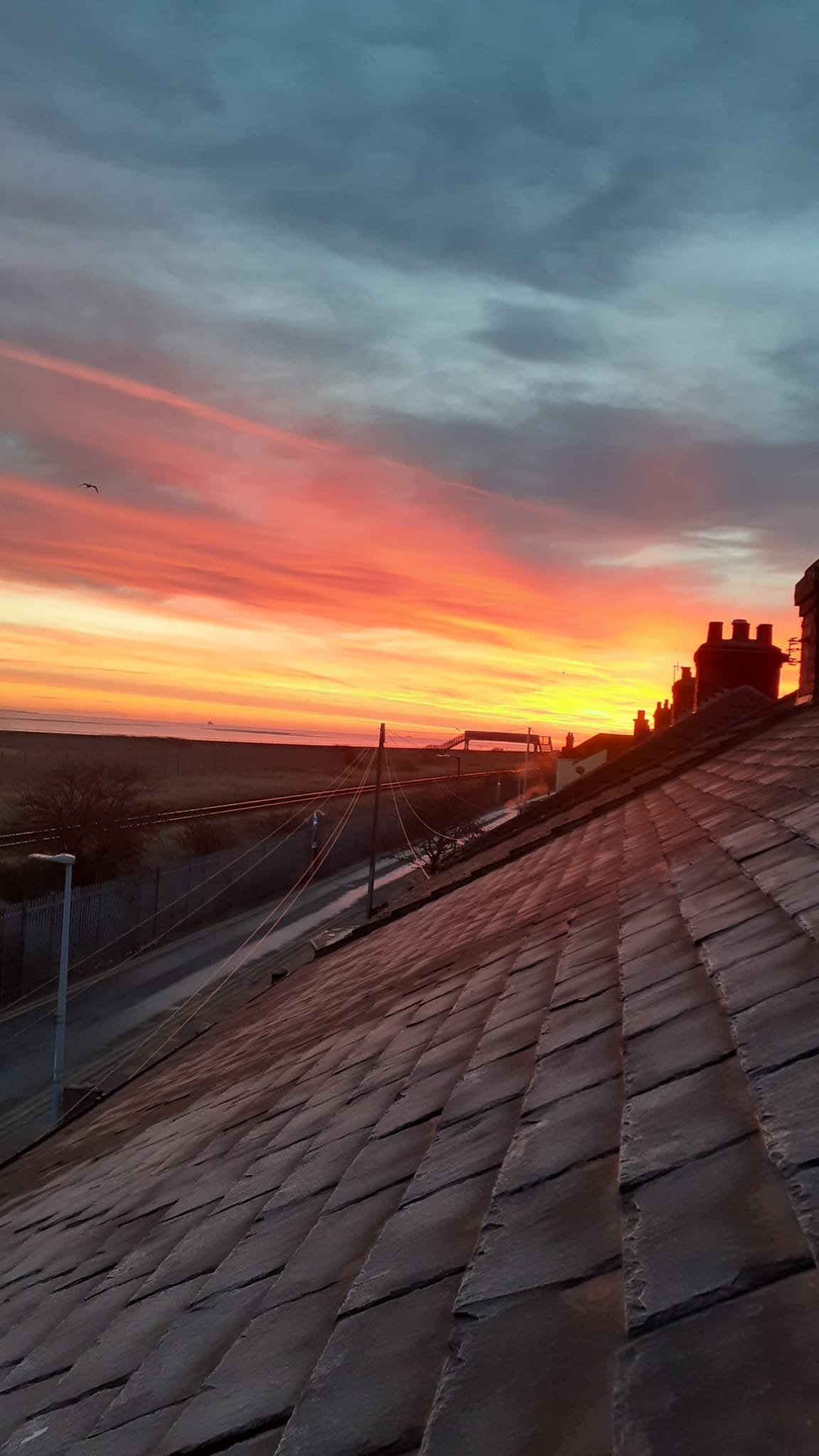 Grimsby photo #6 sunset on Harrington Street Grimsby photo #6 sunset on Harrington Street