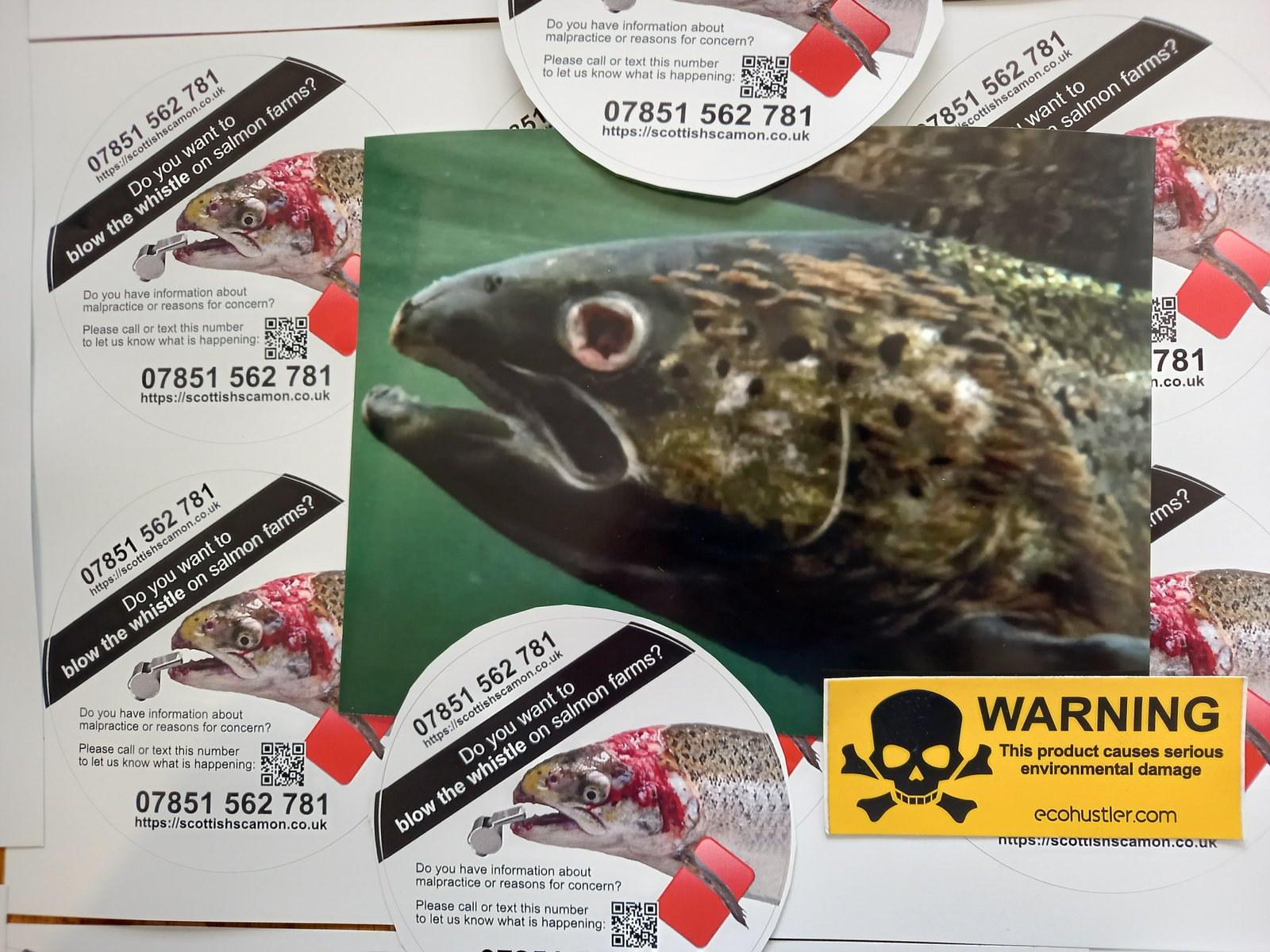 Collage #2 Collage #2