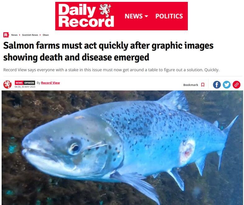 Daily Record Editorial 30 May 2023 #1