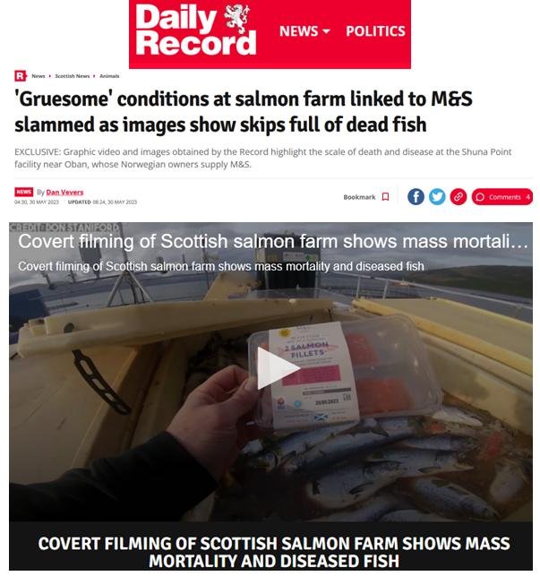 Daily Record 30 May 2023 #1 updated