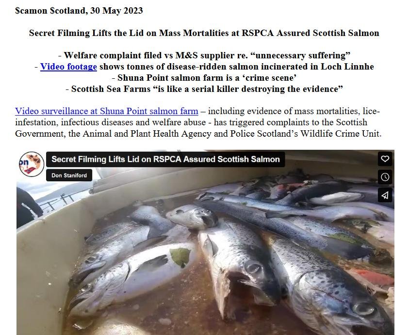 PR Secret Filming Lifts the Lid 30 May 2023 #1 PR Secret Filming Lifts the Lid 30 May 2023 #1