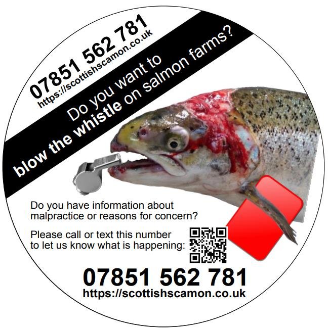 Whistleblower Hotline version #2 circle Whistleblower Hotline version #2 circle