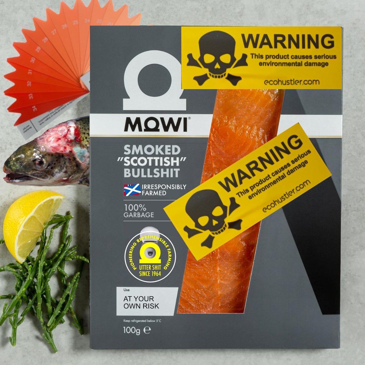 MOWI spoof salmon pack with garnish MOWI spoof salmon pack with garnish