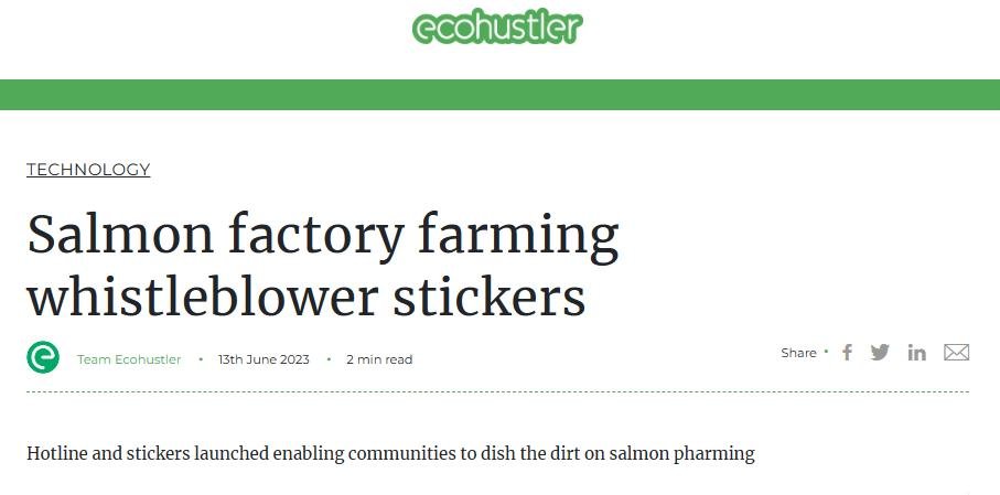 Ecohustler blog 13 June 2023 #1