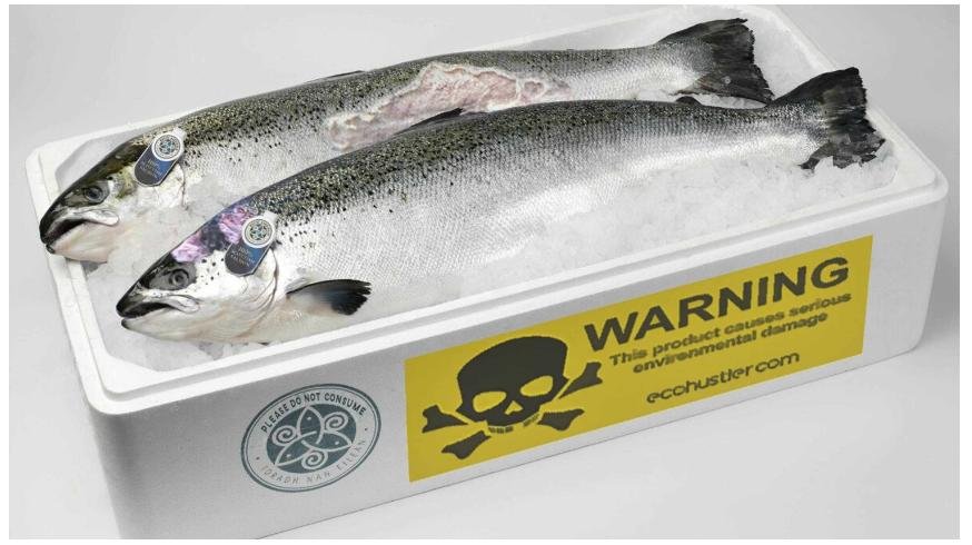 Ecohustler blog 13 June 2023 #3