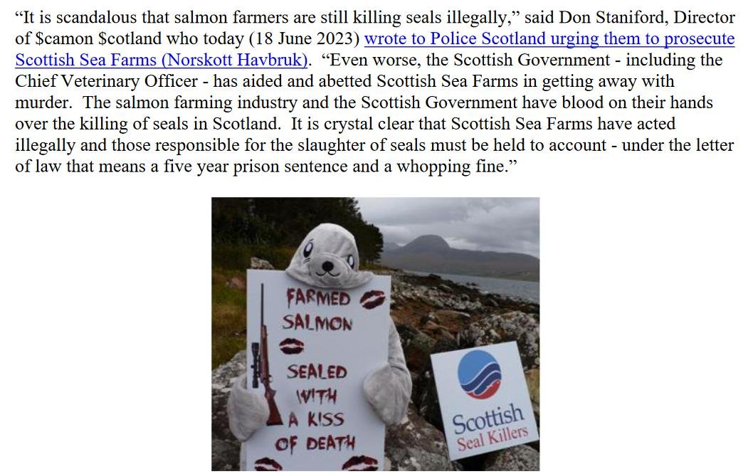 PR Damning Post Mortem Report Exposes Illegal Killing of Seals 18 June 2023 #3 PR Damning Post Mortem Report Exposes Illegal Killing of Seals 18 June 2023 #3