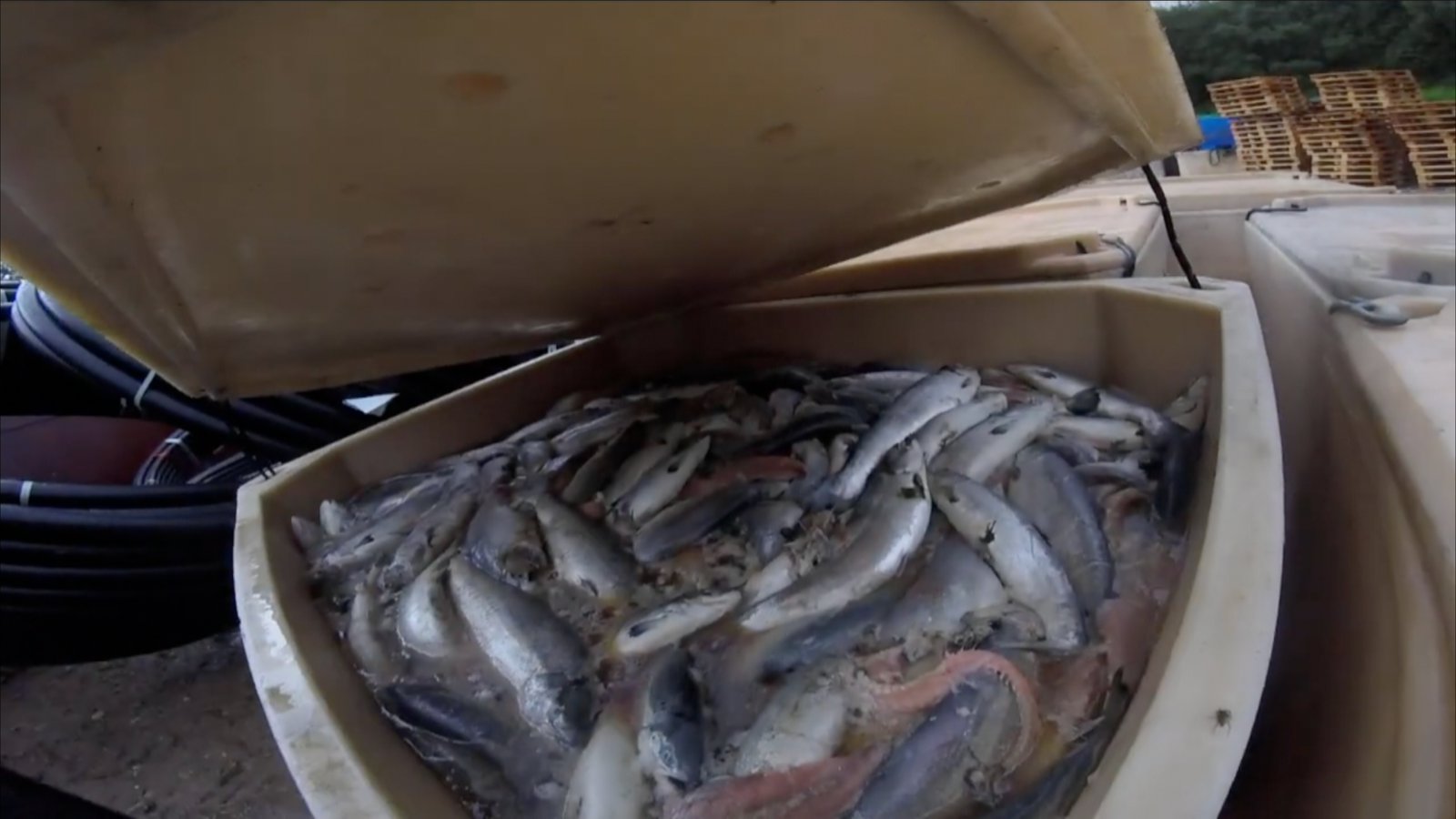 Screenshot 2023-07-04 at 21.48.57 Screenshot 2023-07-04 at 21.48.57