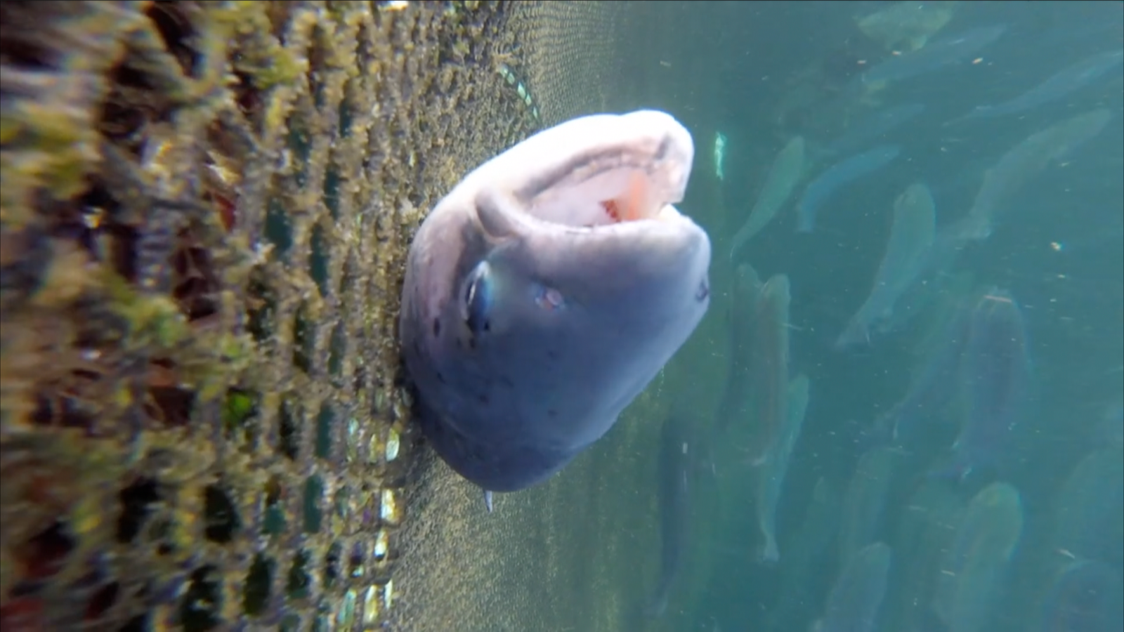 Screenshot 2023-07-04 at 21.58.37 Screenshot 2023-07-04 at 21.58.37