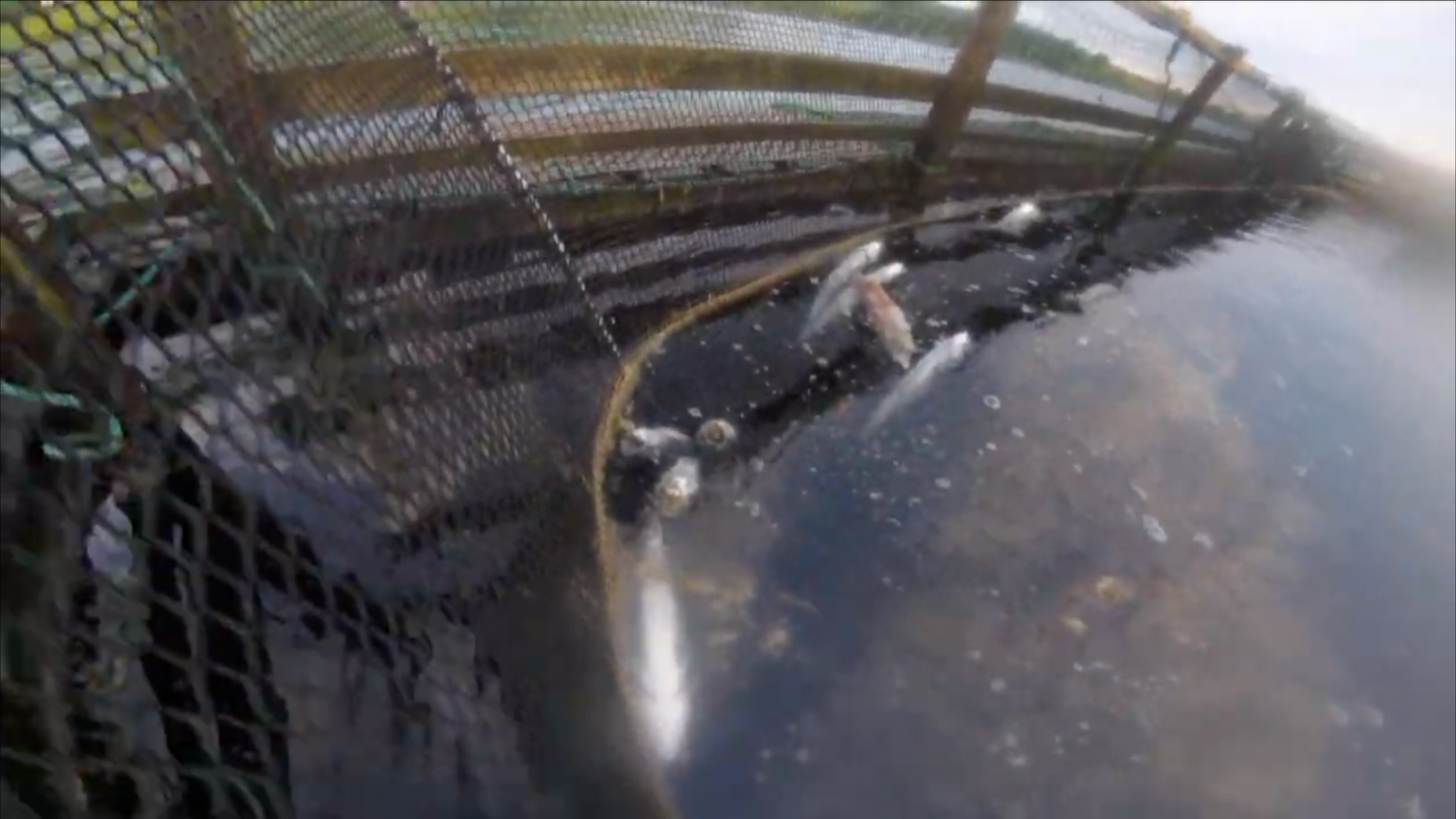 Screenshot 2023-07-04 at 21.57.01 Screenshot 2023-07-04 at 21.57.01