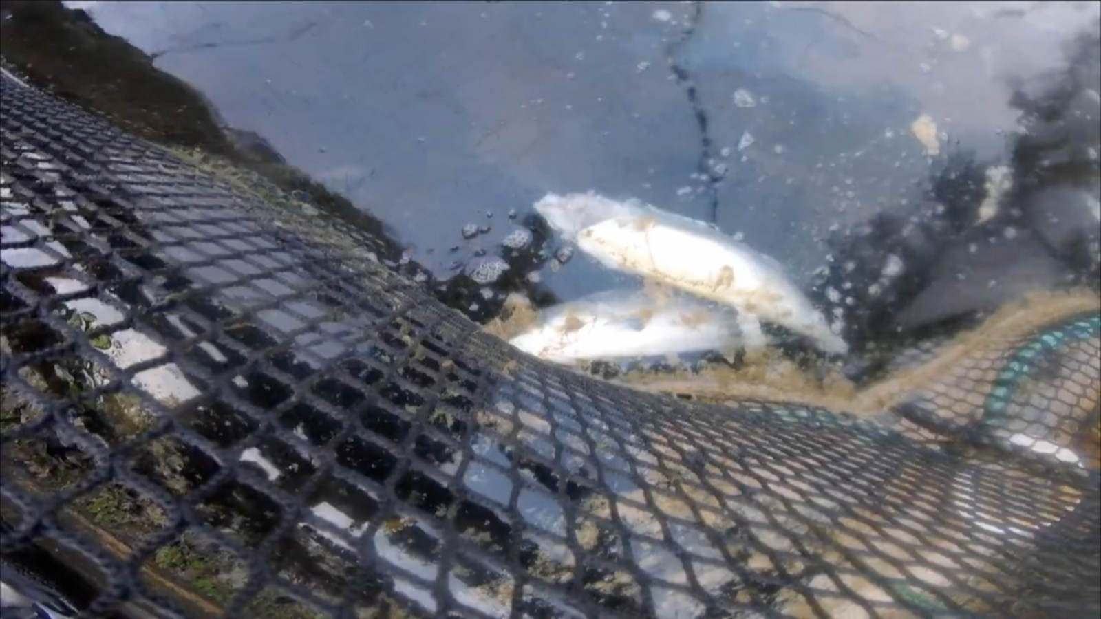 Screenshot 2023-07-04 at 21.55.56 Screenshot 2023-07-04 at 21.55.56