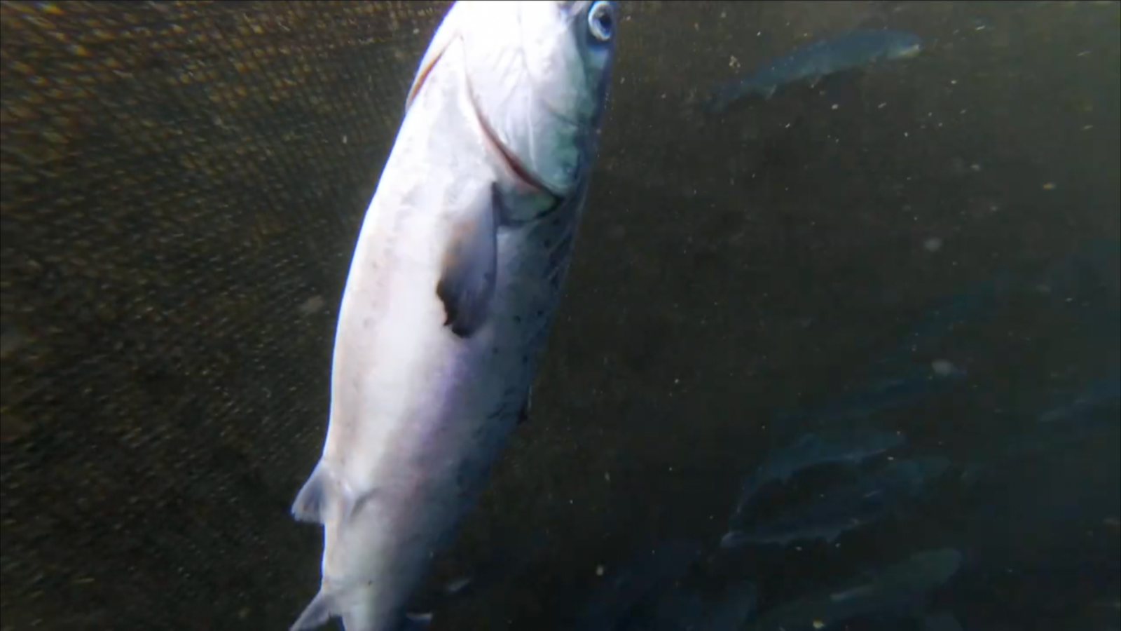 Screenshot 2023-07-04 at 22.00.19 Screenshot 2023-07-04 at 22.00.19