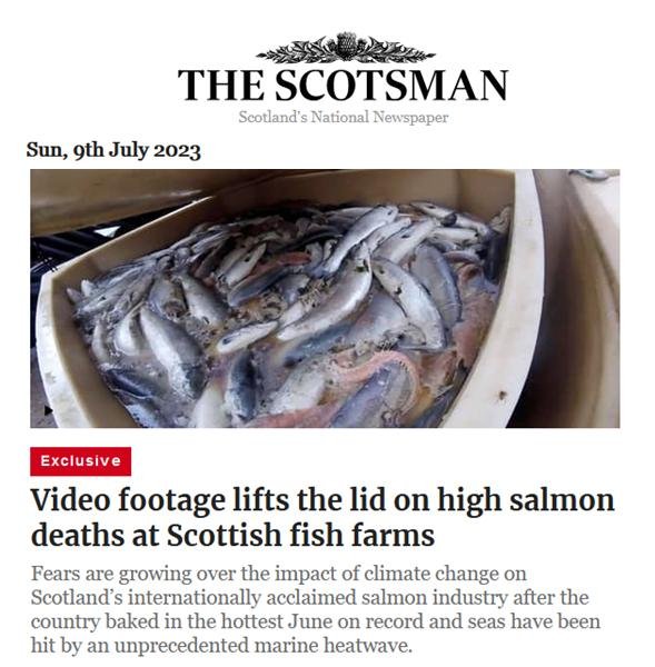 Scotland On Sunday front page 9 July 2023 online video exclusive #1